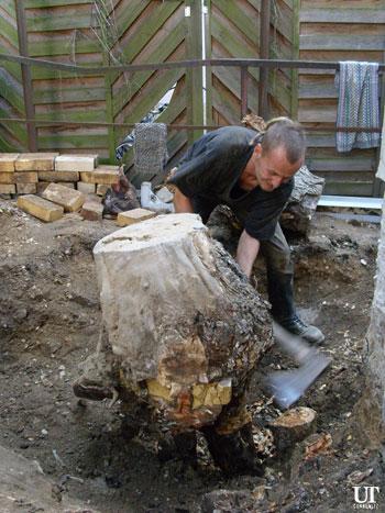 2007: ...ein Mann, ein Baum